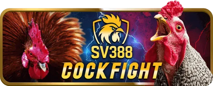 Hướng dẫn chơi nổ hũ và cách giành jackpot tại nbet88 win
